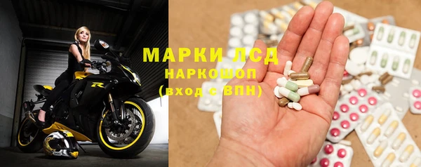 стафф Михайлов