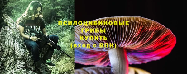 стафф Михайлов