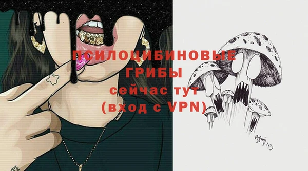 стафф Михайлов