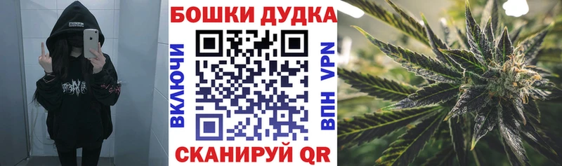 где купить   Владикавказ  Бошки Шишки индика 